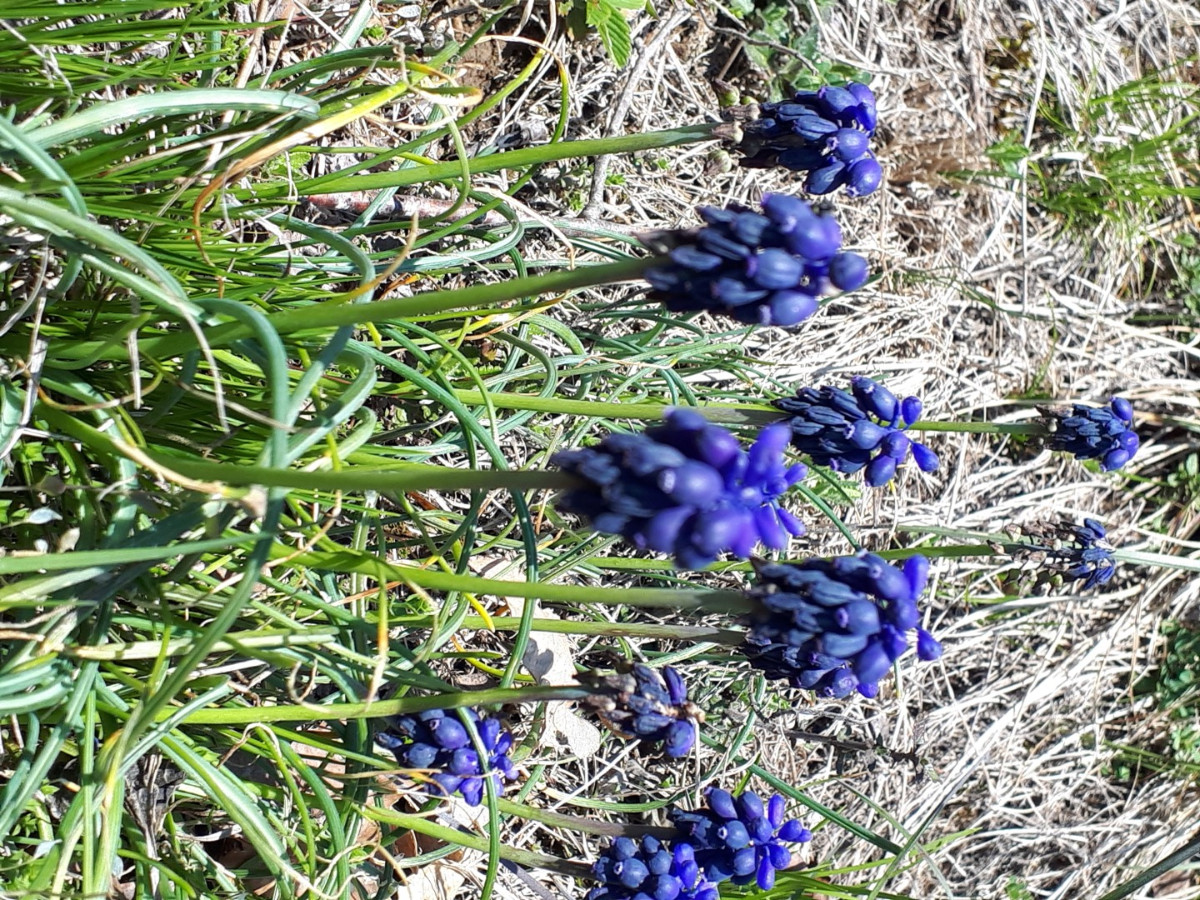 20230421_142625 (Groß).jpg