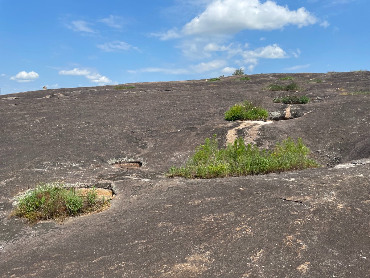 Arabia mountain SE Atlanta.JPG