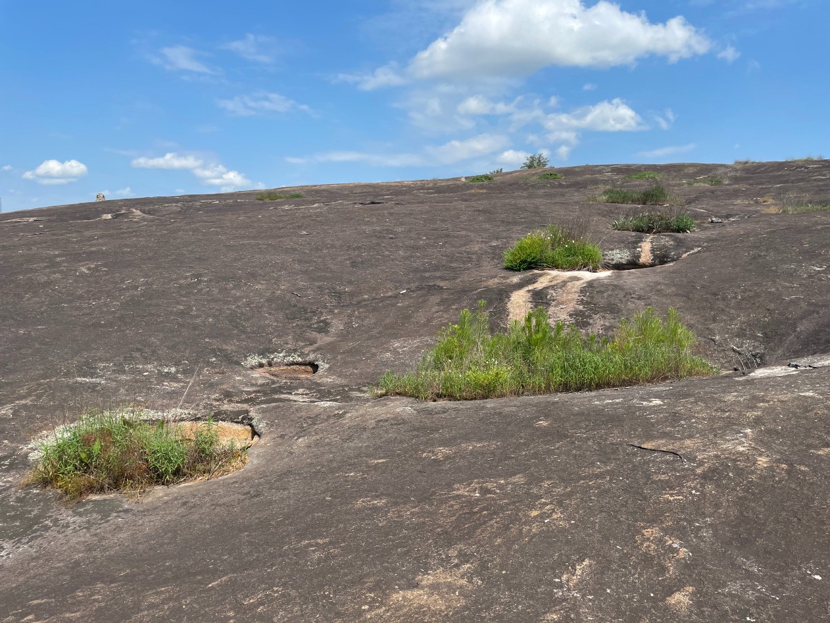 Arabia mountain SE Atlanta.JPG