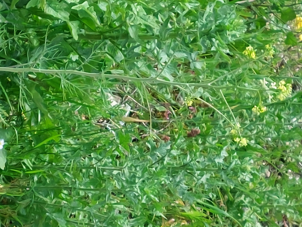 20230507_121034.jpg