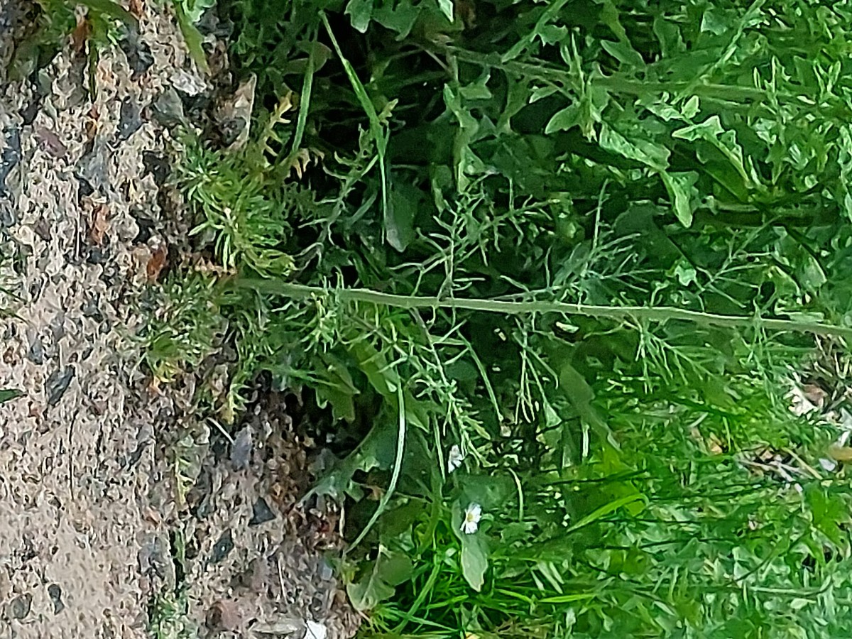 20230507_121037.jpg