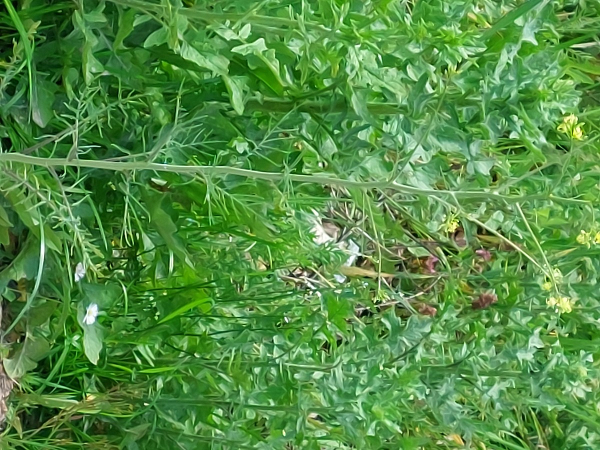 20230507_121040.jpg