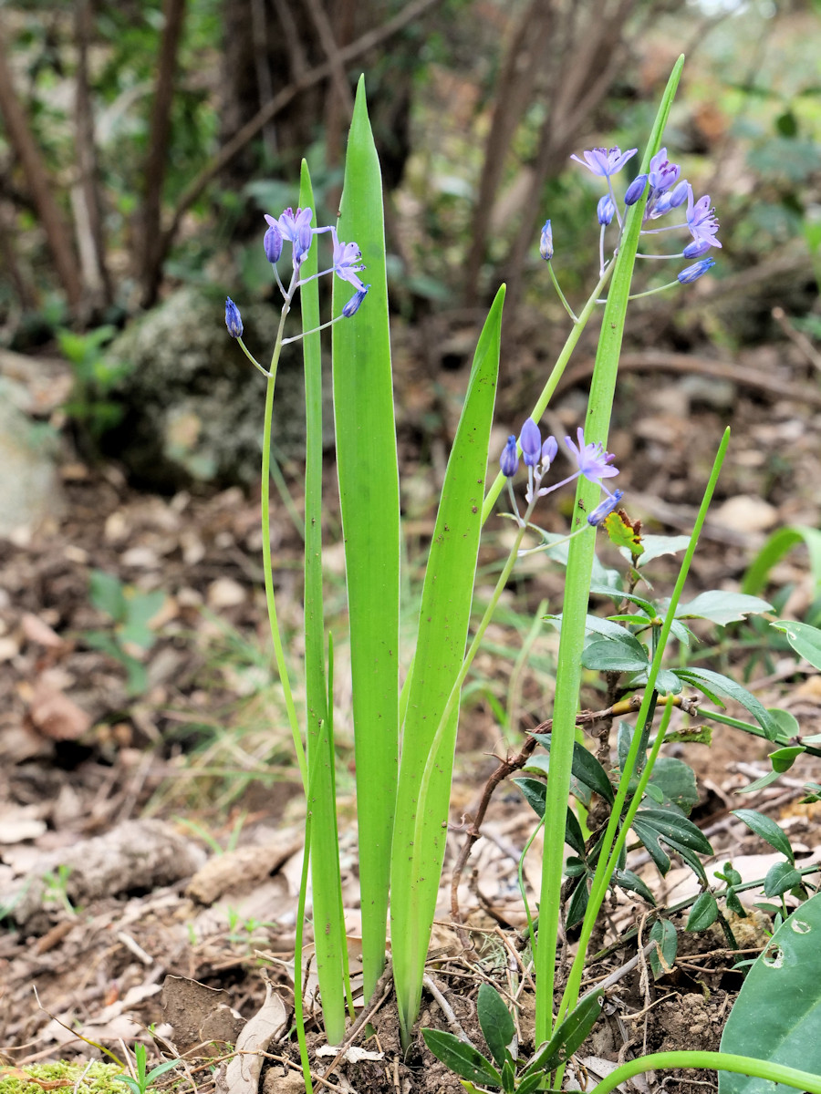 P1035768K.JPG