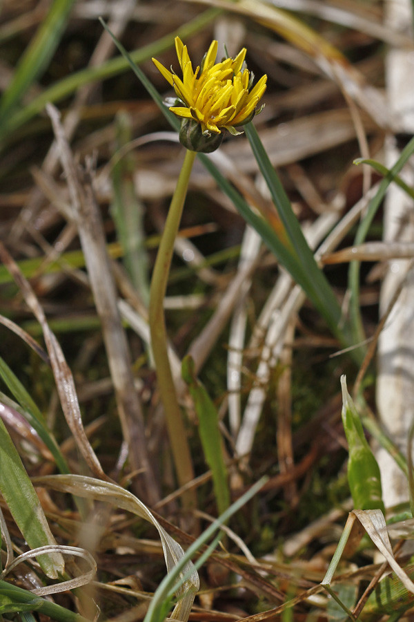 _MG_7664.jpg