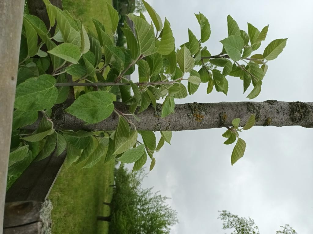 20230509_134154.JPG