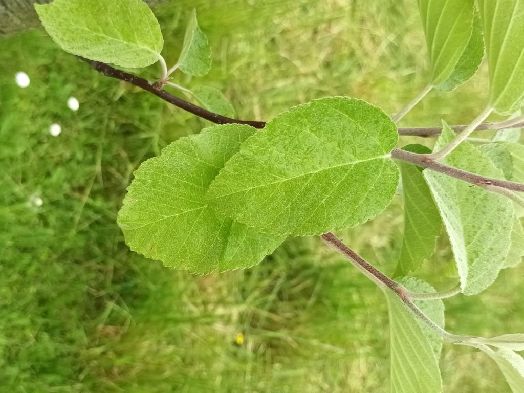 20230509_134324.JPG