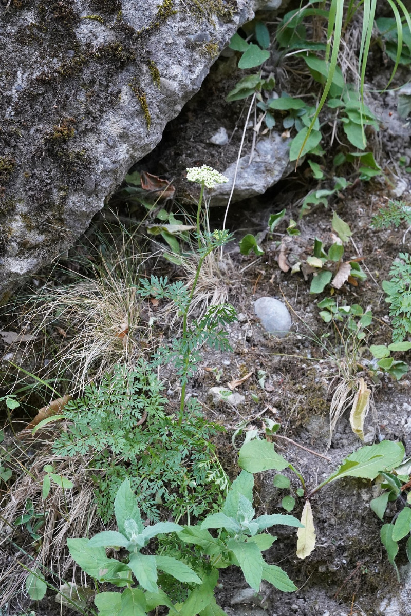 DSC05792.JPG