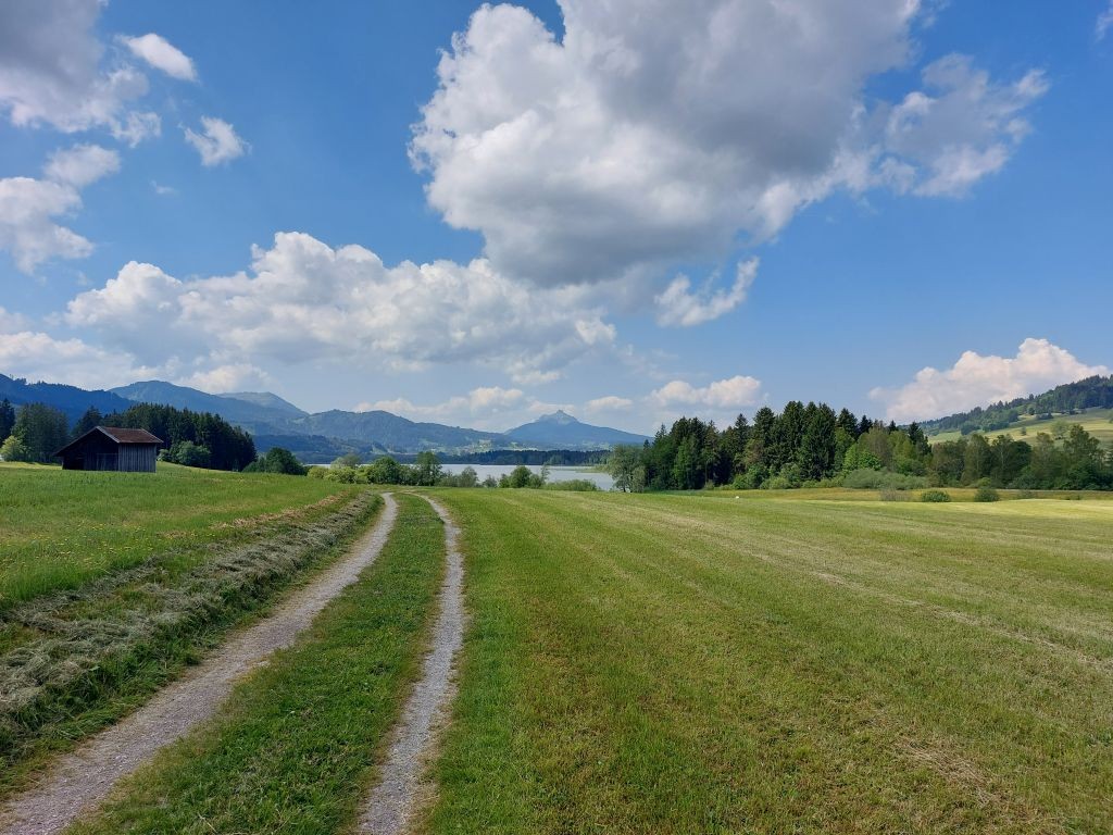 Der Weg hinab zum See verhieß nichts Gutes: gemähte Wiesen ...