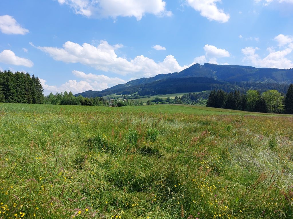 Wenn man doch mal ins Weite schaute: großartige Voralpen-Landschaft