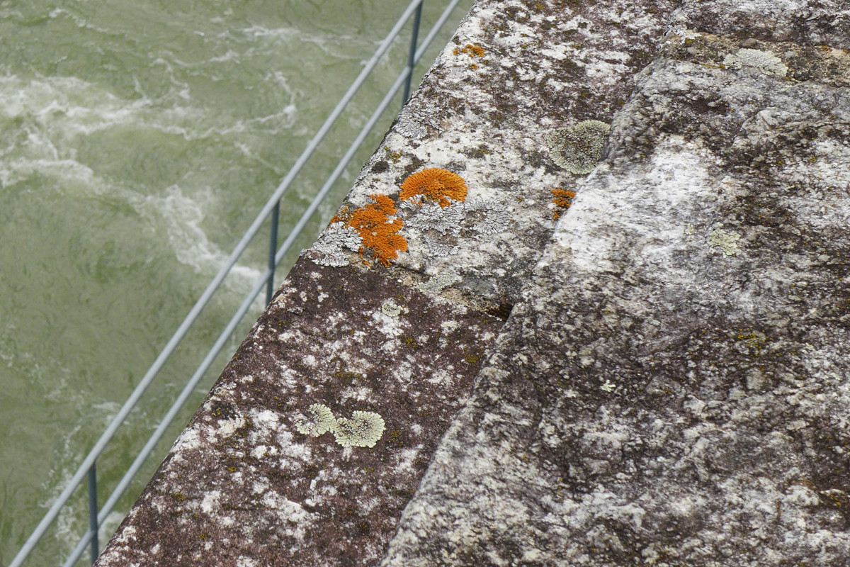 04_Mauer mit Flechten_06-2017.jpg