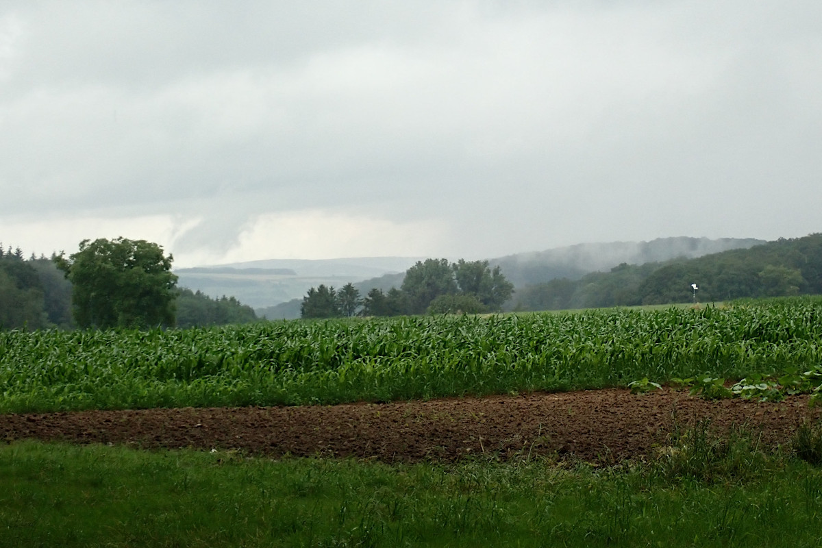 Regen_06-2023.jpg