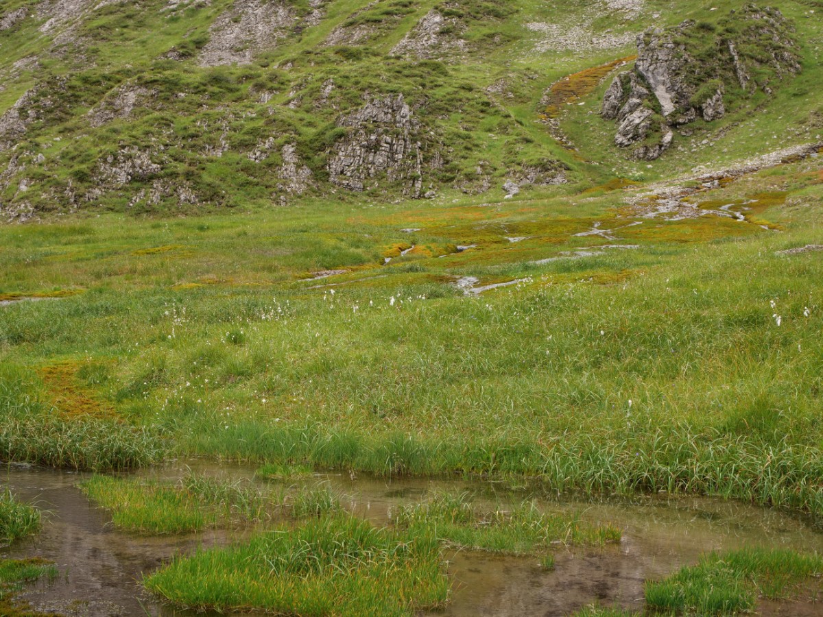 P1050722.JPG