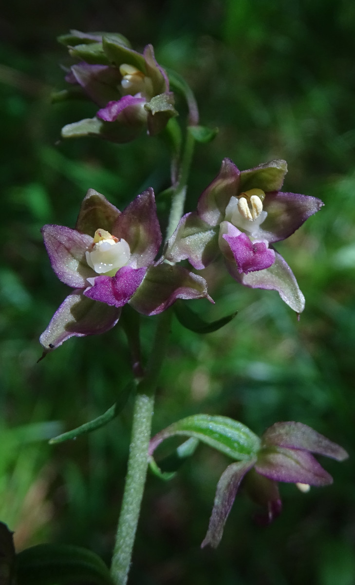 DSC01343 - Kopie.JPG