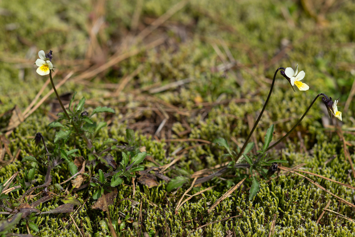 Erster Besuch am 07.04.2023