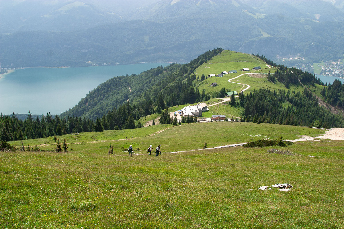 Blick über den Lebensraum von Nigritella stiriaca hinunter zum Wolfgangsse